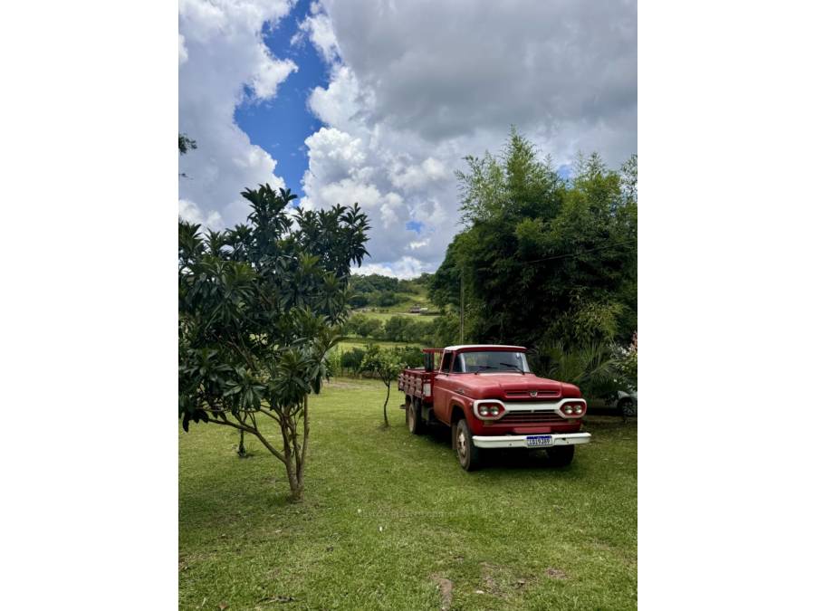 FORD - F-350 - 1966/1966 - Vermelha - Sob Consulta
